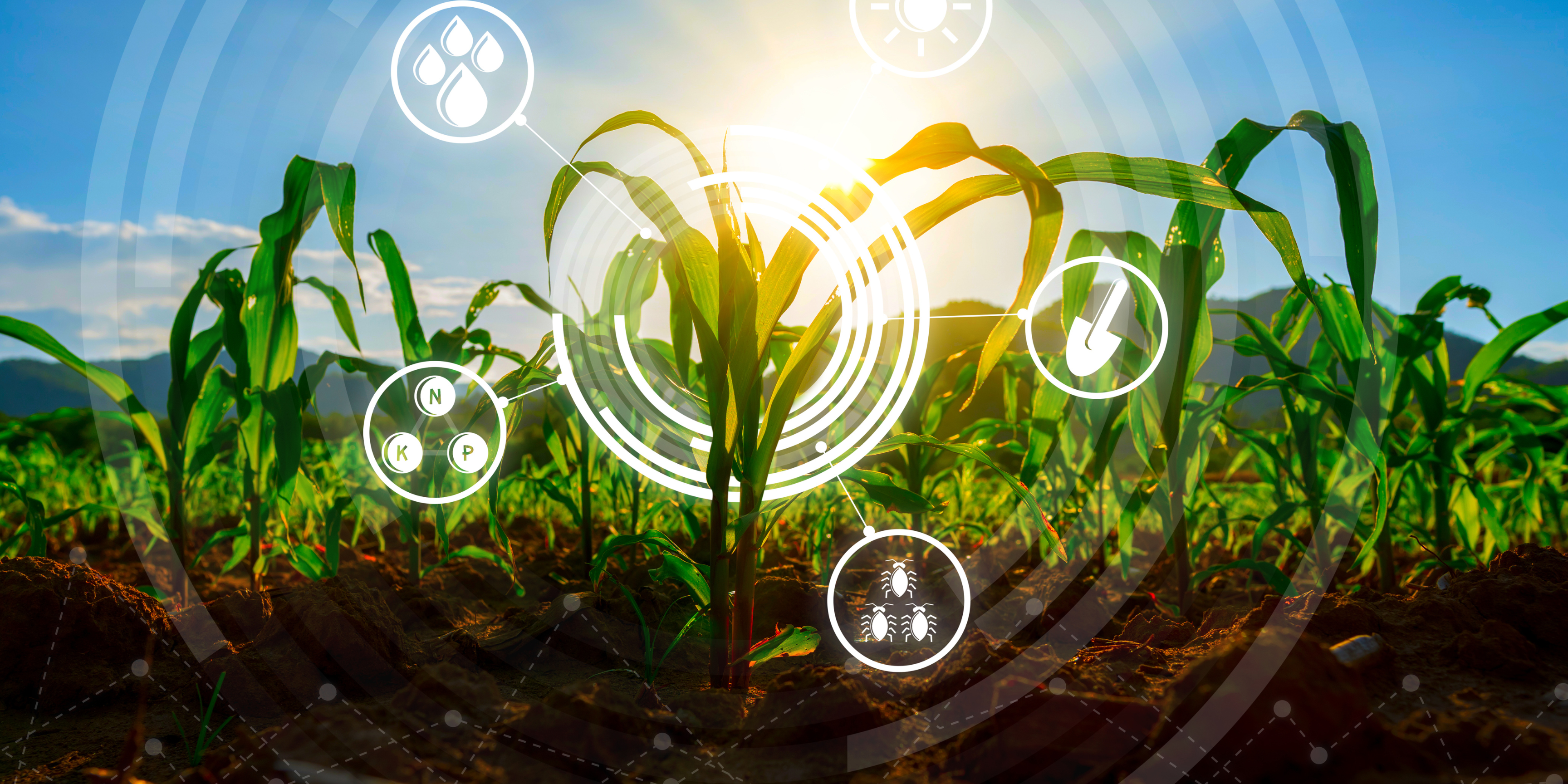 Sensors are the future of farming