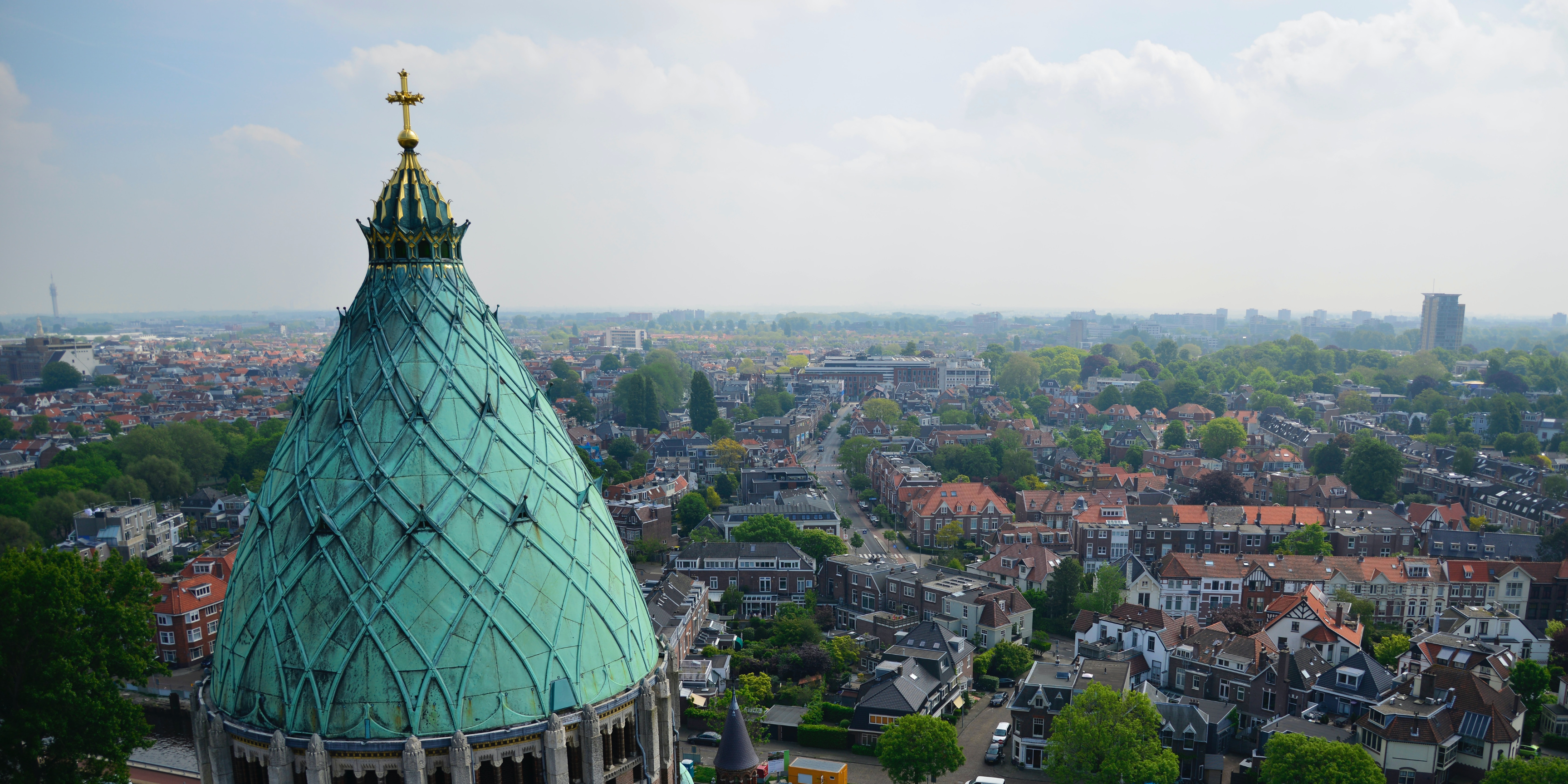 How thirsty are Haarlem trees?