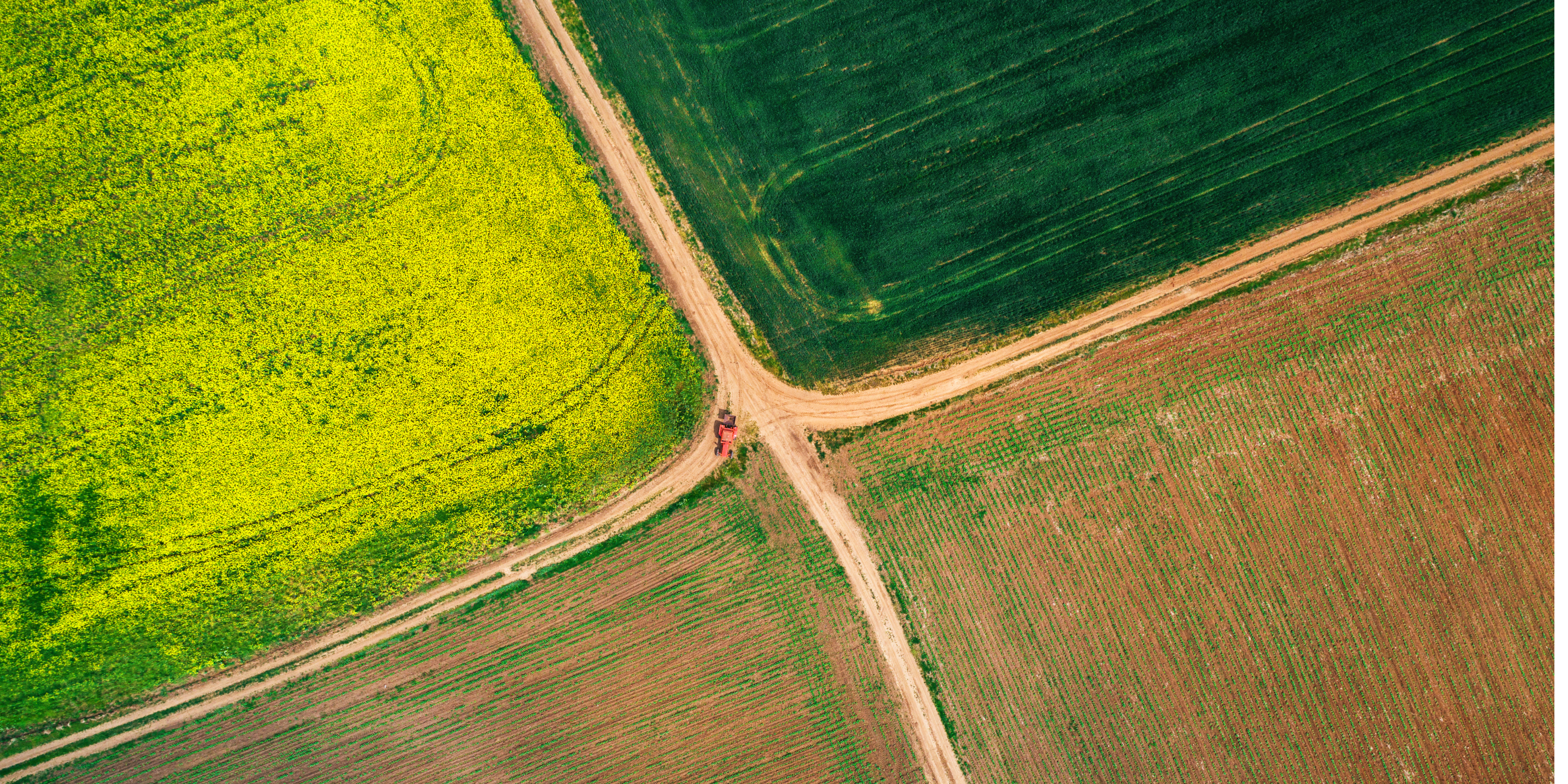 The power of sensors: helping farmers better understand crops