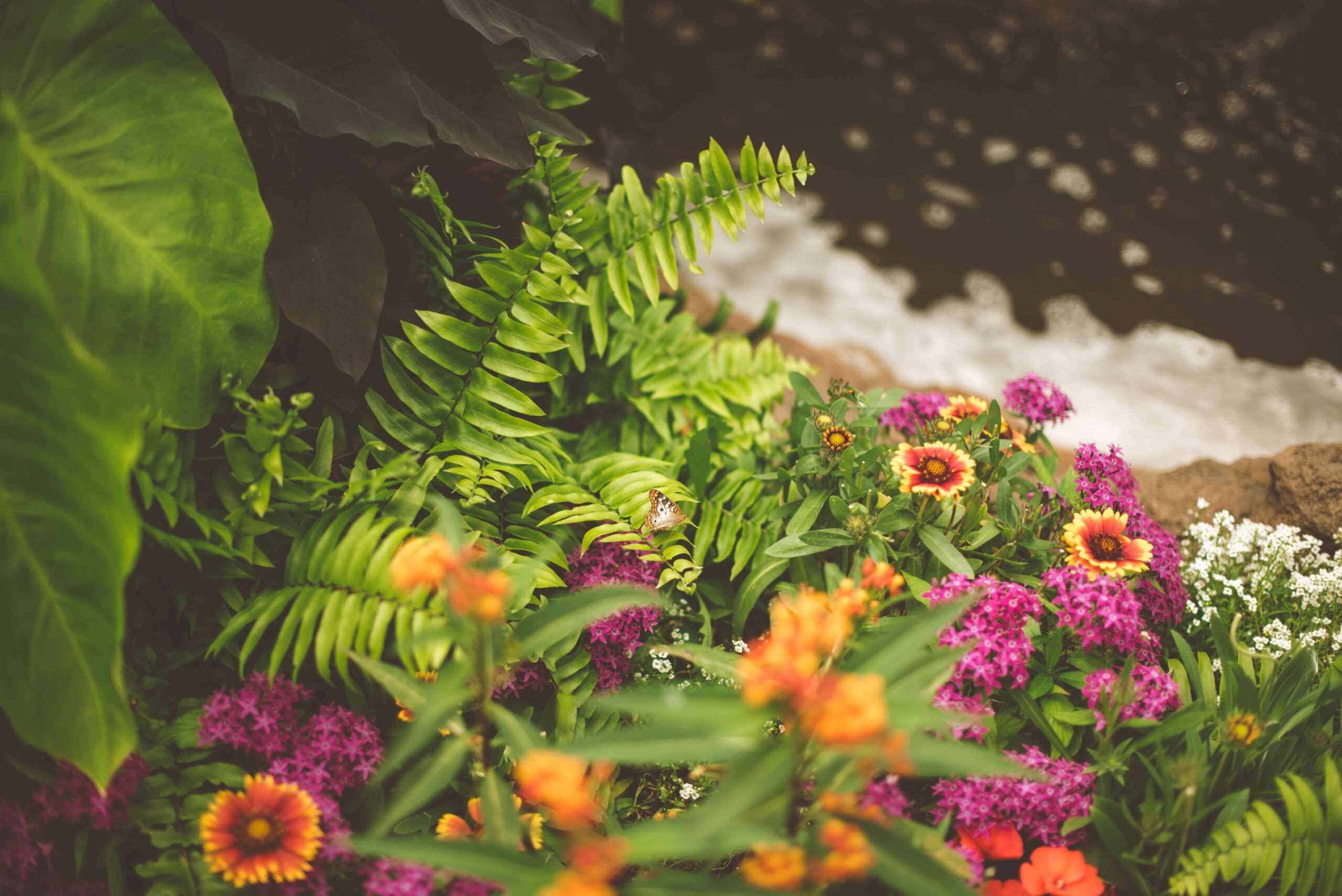 Less water, more green