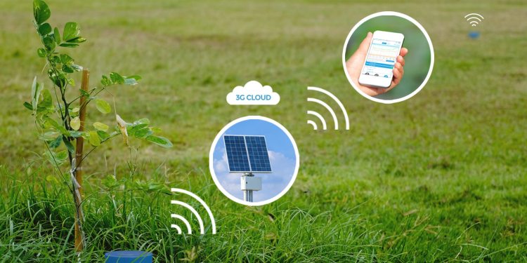 Sensoterra chooses Senet LPWA network for soil sensors