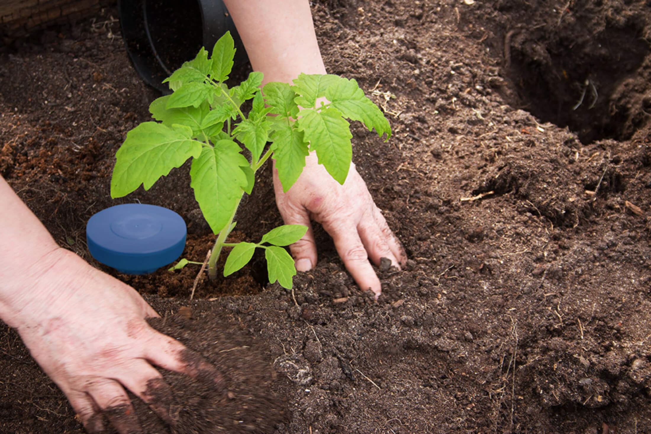 Soil moisture sensing for forage irrigation