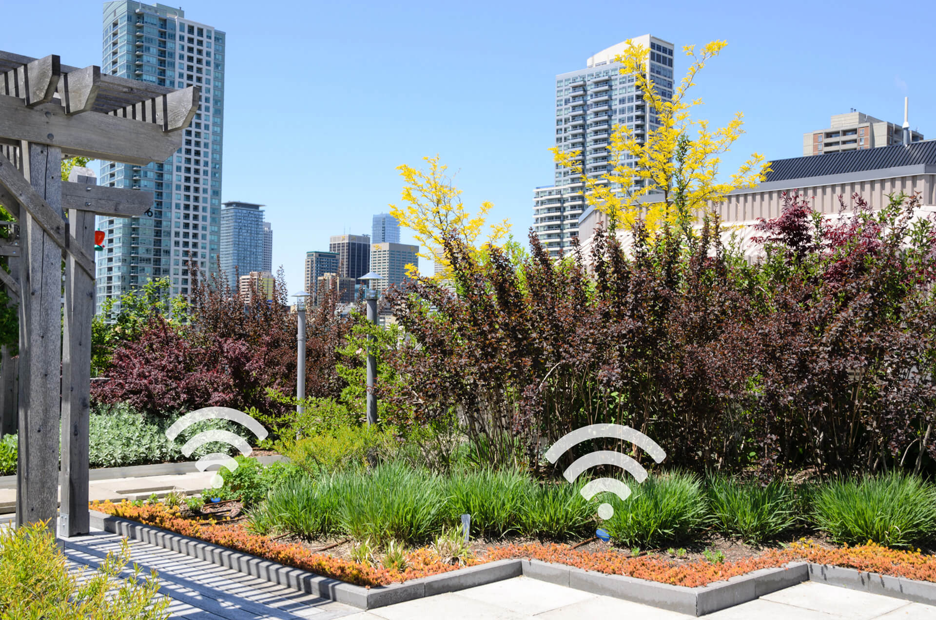 Soil moisture sensors in urban areas