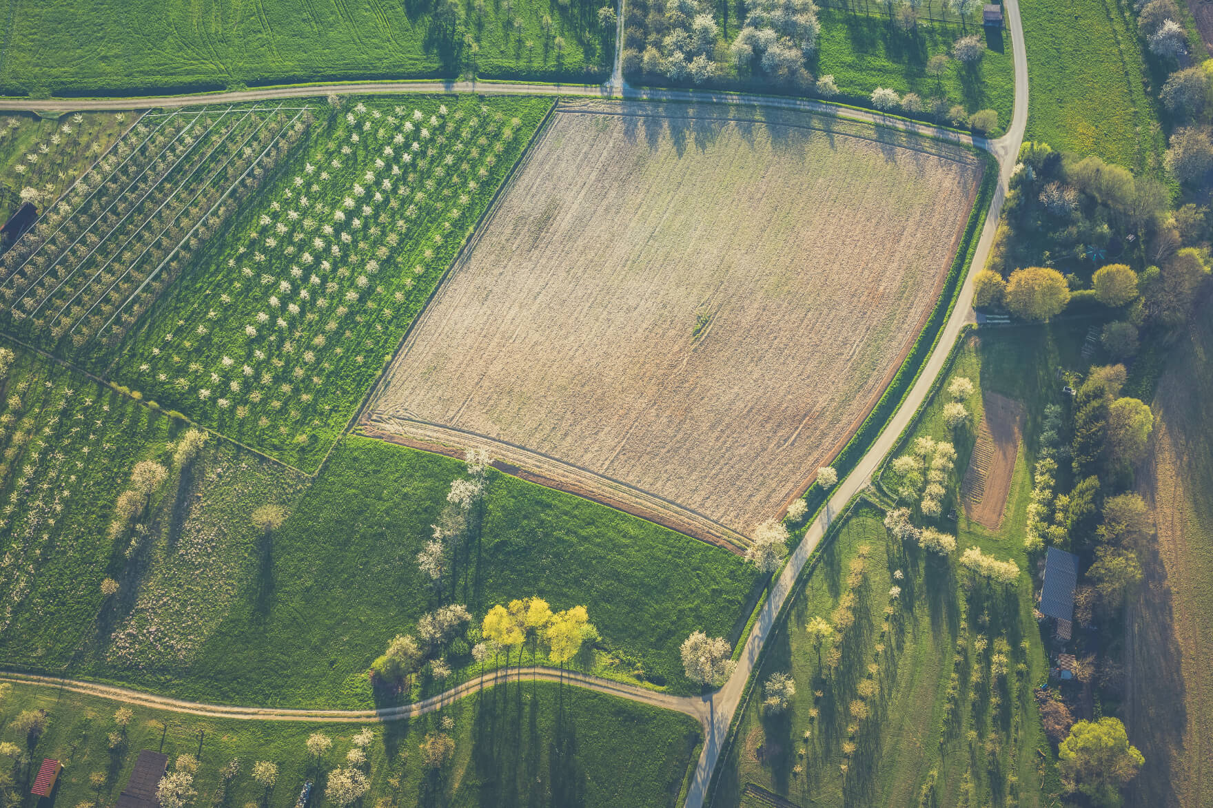 How agriculture’s digital transformation is enabled by IoT