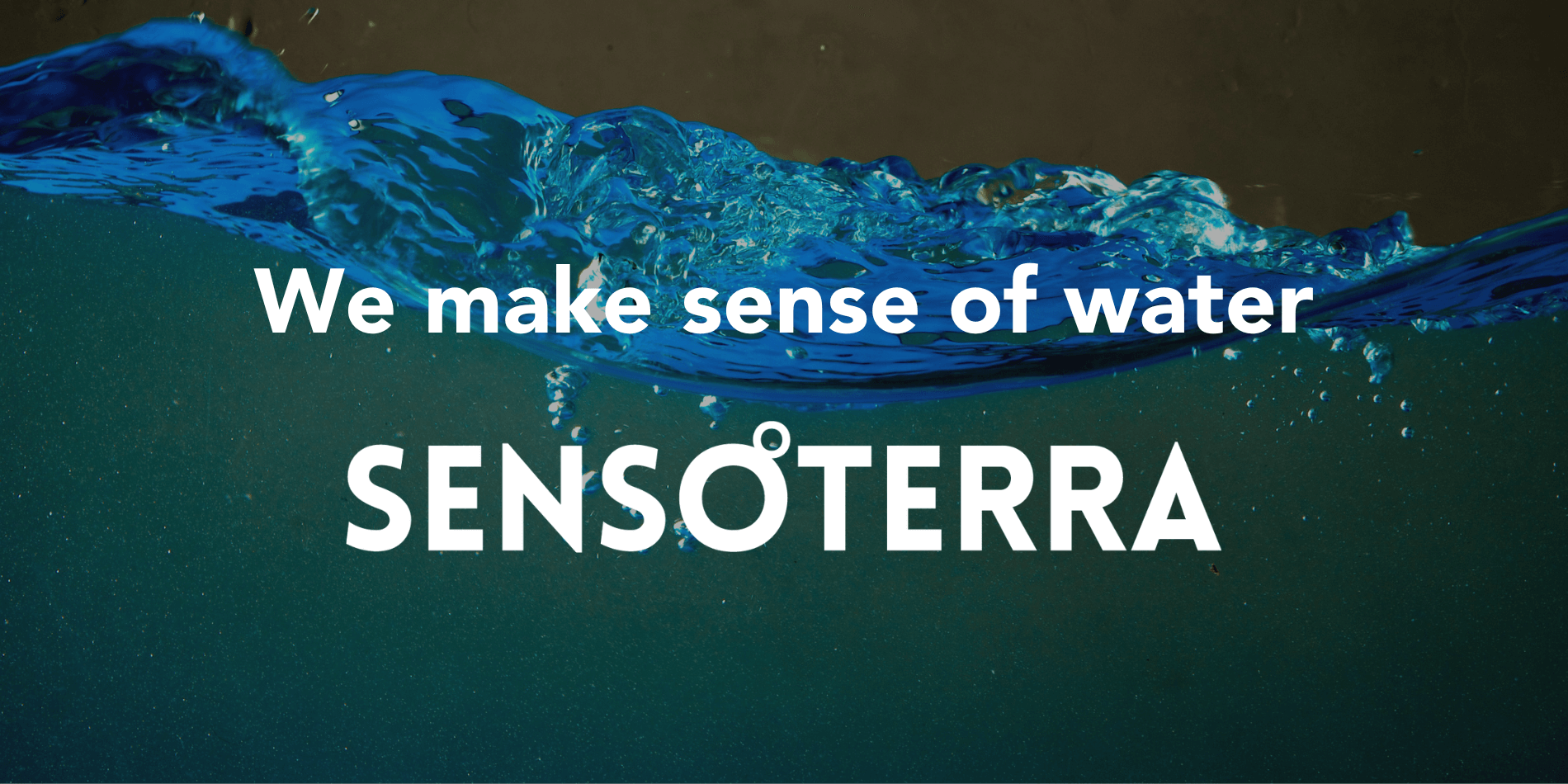 Sensoterra Welcomes New Global Account Executive Tom Kuiper