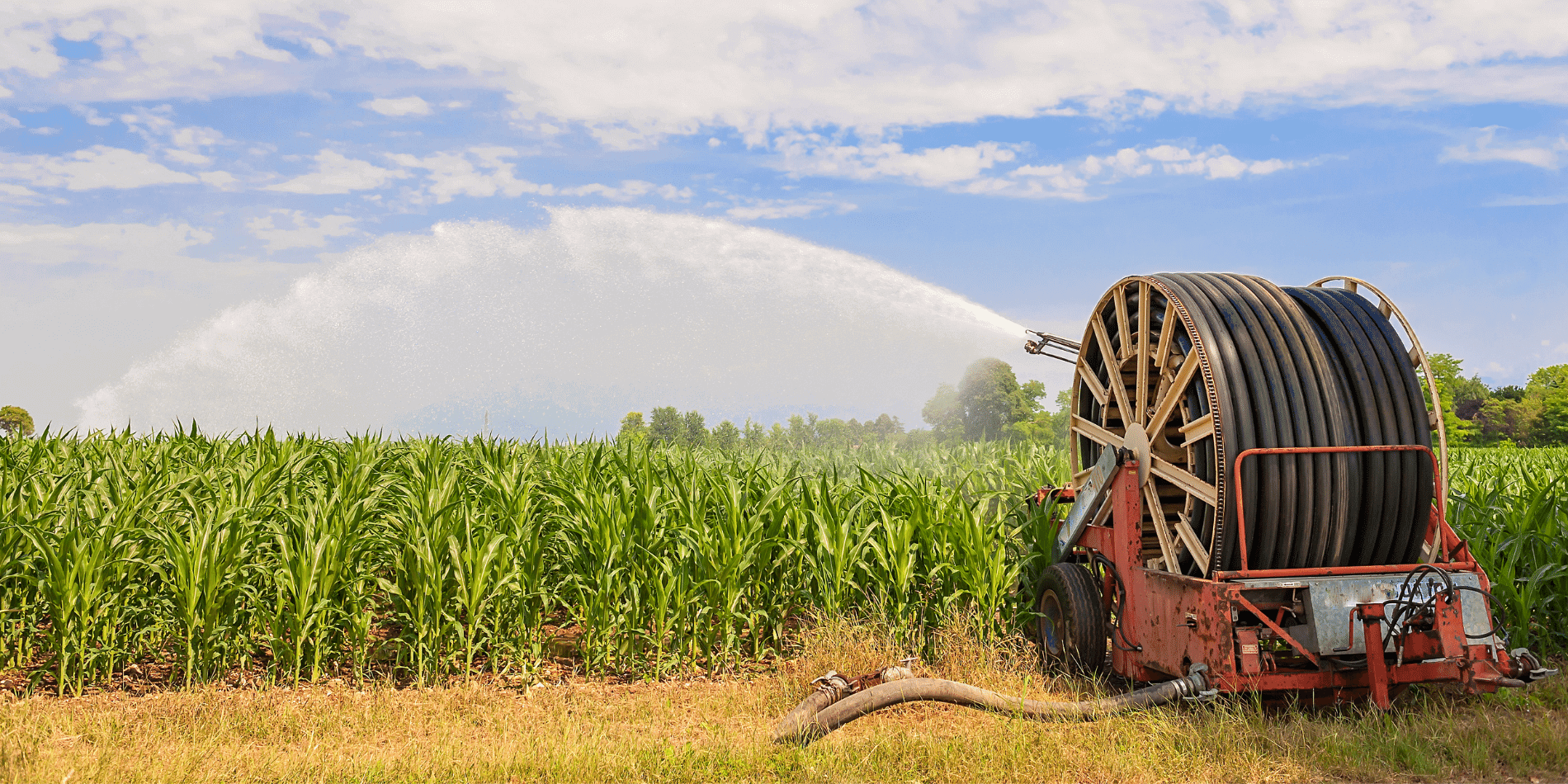 Arable farmer is the freshwater manager