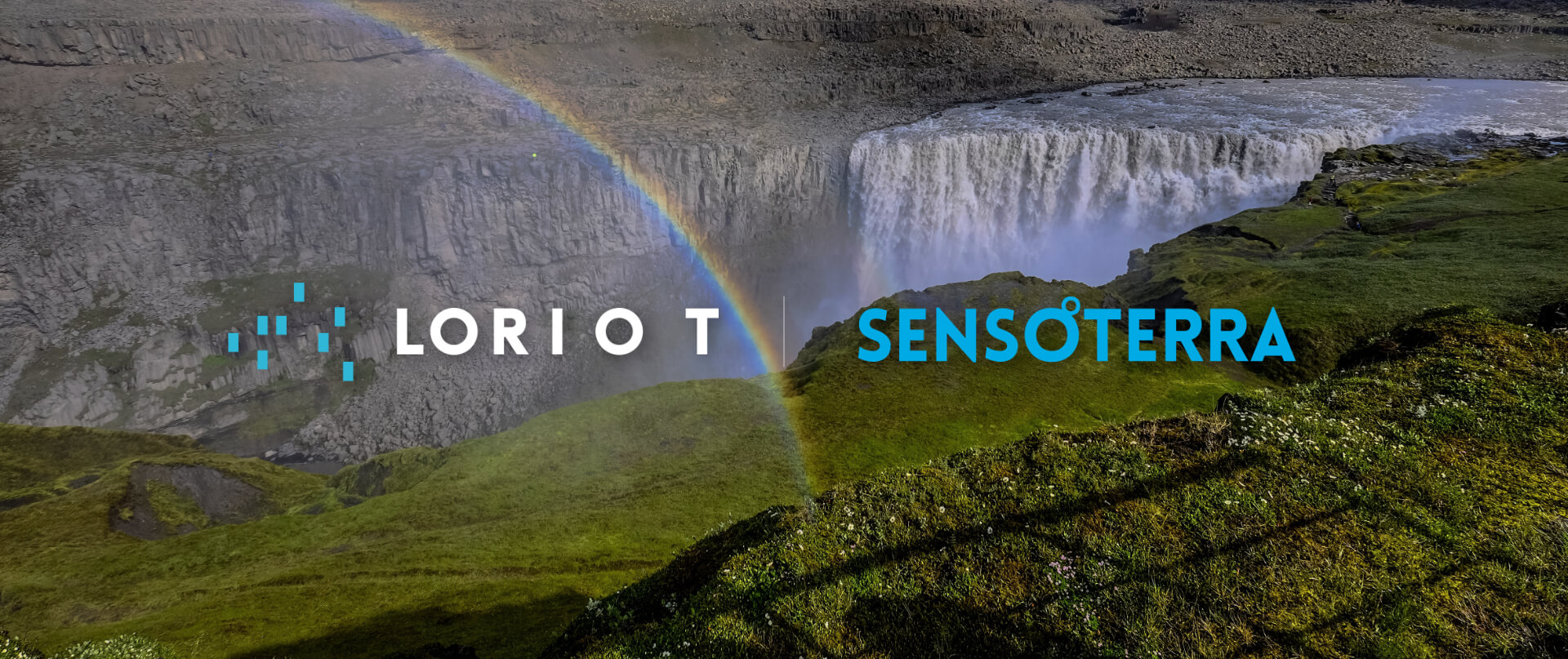 Sensoterra and LORIOT partner to provide out-of-the-box connectivity to the global LORIOT LoRaWAN® network.