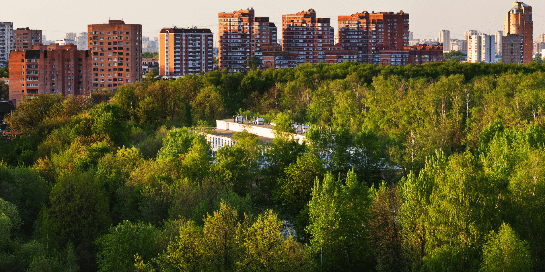 Crucial role of soil monitoring for urban environments