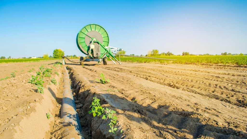 More drought during the growing season