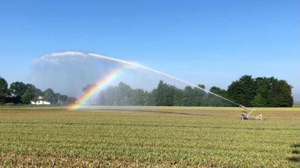 Growers prepare for stricter European regulations with water sensors