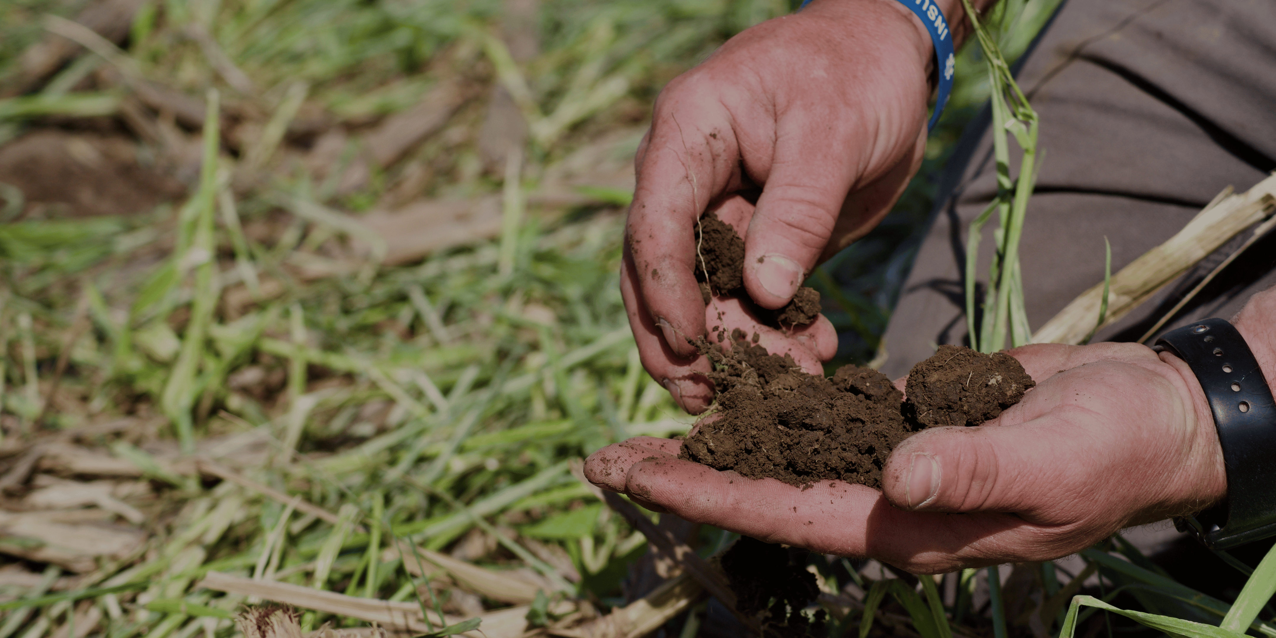 Capillary function of a soil