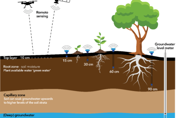 remote sensing combined with in situ sensors for actionable water management