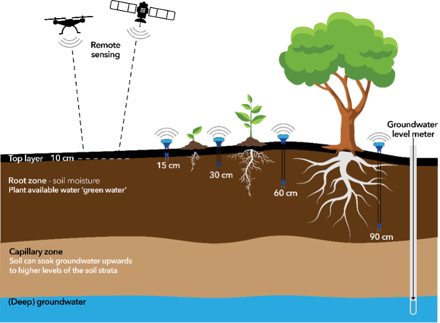 remote sensing combined with in situ sensors for actionable water management