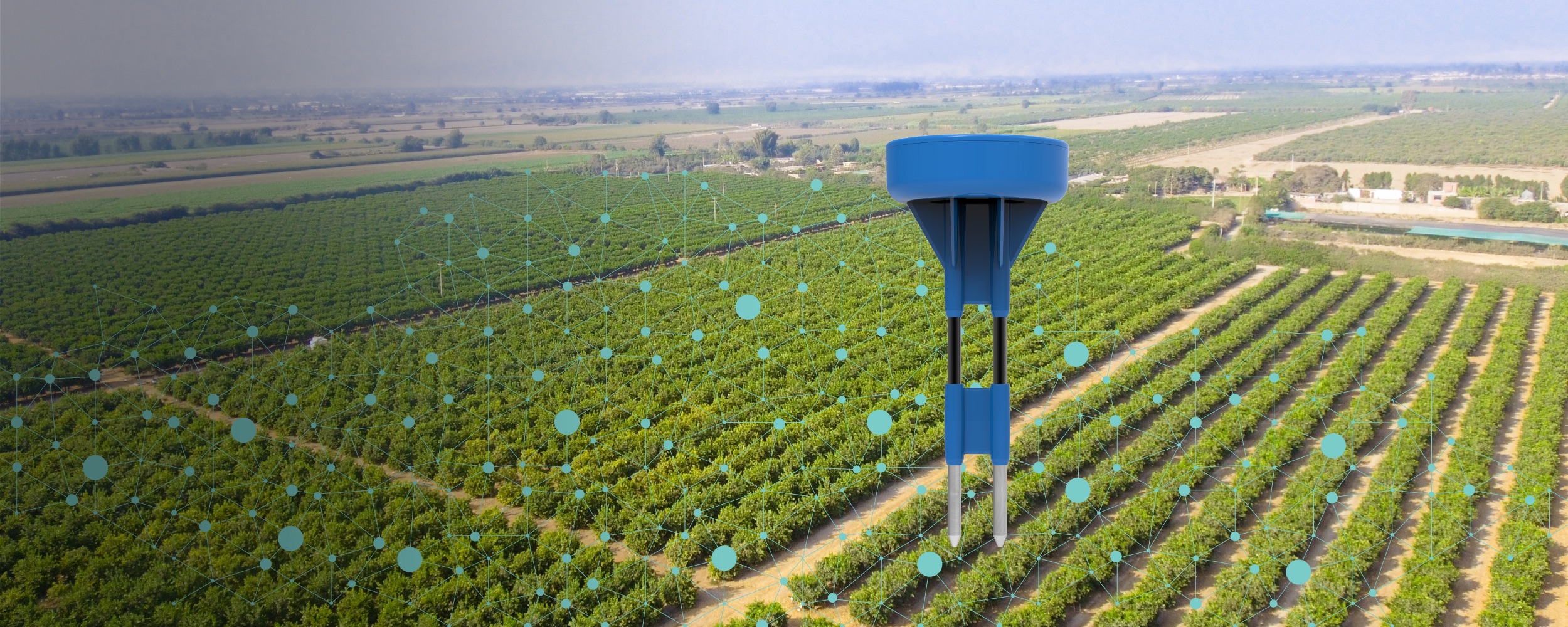 Sensoterra soil moisture sensor in the field alongside the Monitor app