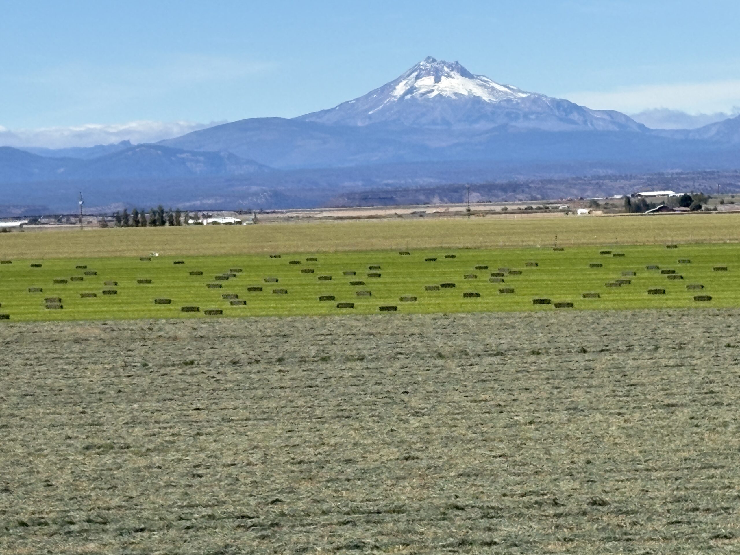 Linear pivot irrigating a hay field at Knieling Farms in Madras, Central Oregon