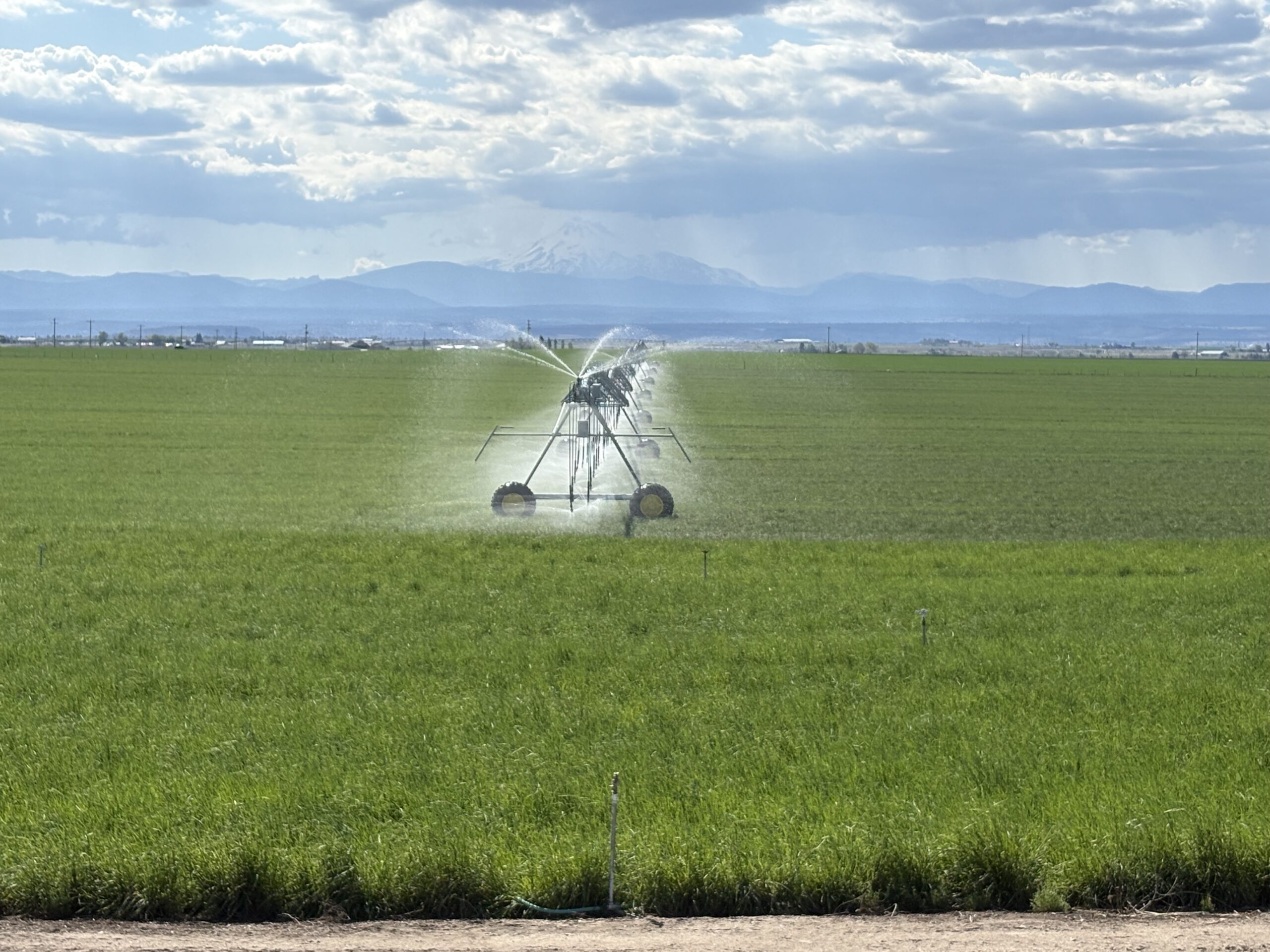 Wheel line irrigation previously used at Knieling Farms